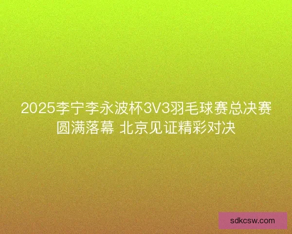 2025李宁李永波杯3V3羽毛球赛总决赛圆满落幕 北京见证精彩对决